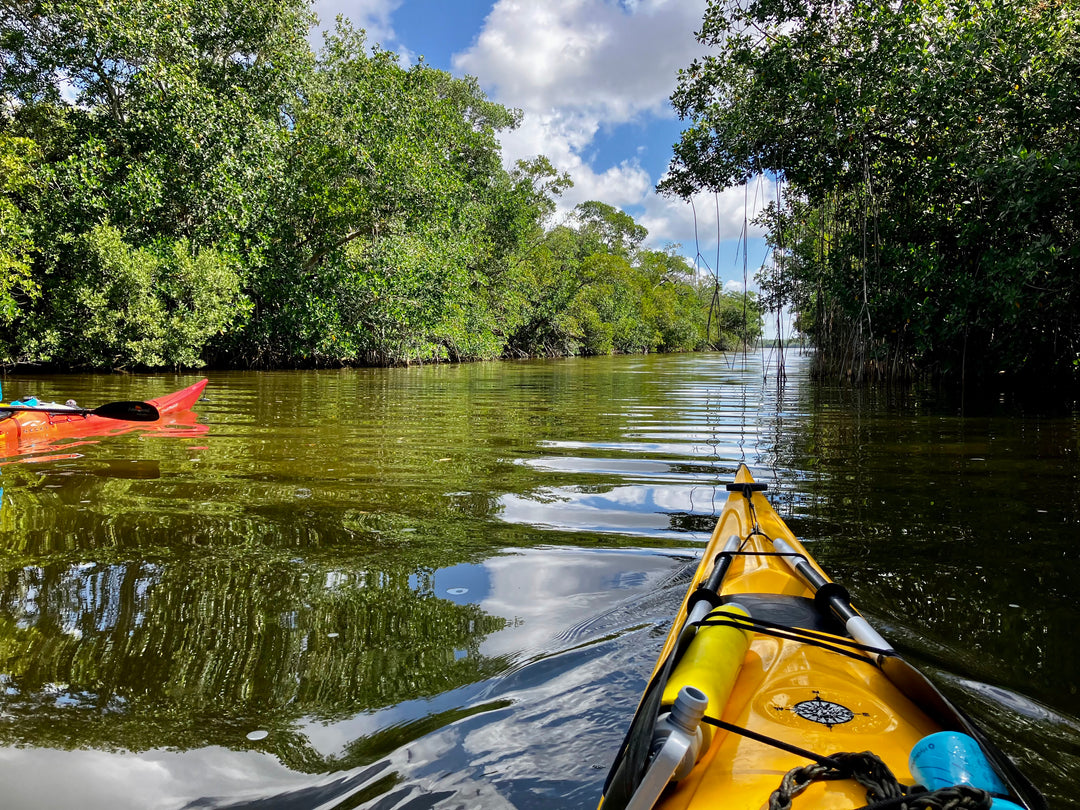 The Thrilling Adventure of First-Time Kayaking: A Journey into Nature's Playground