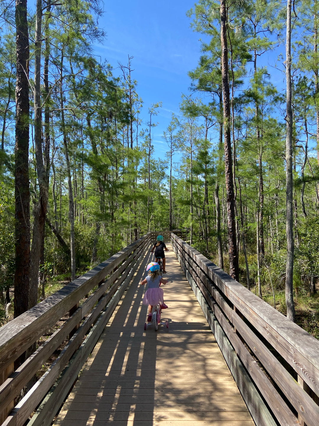 How to Camp with Kids, and Enjoy It!