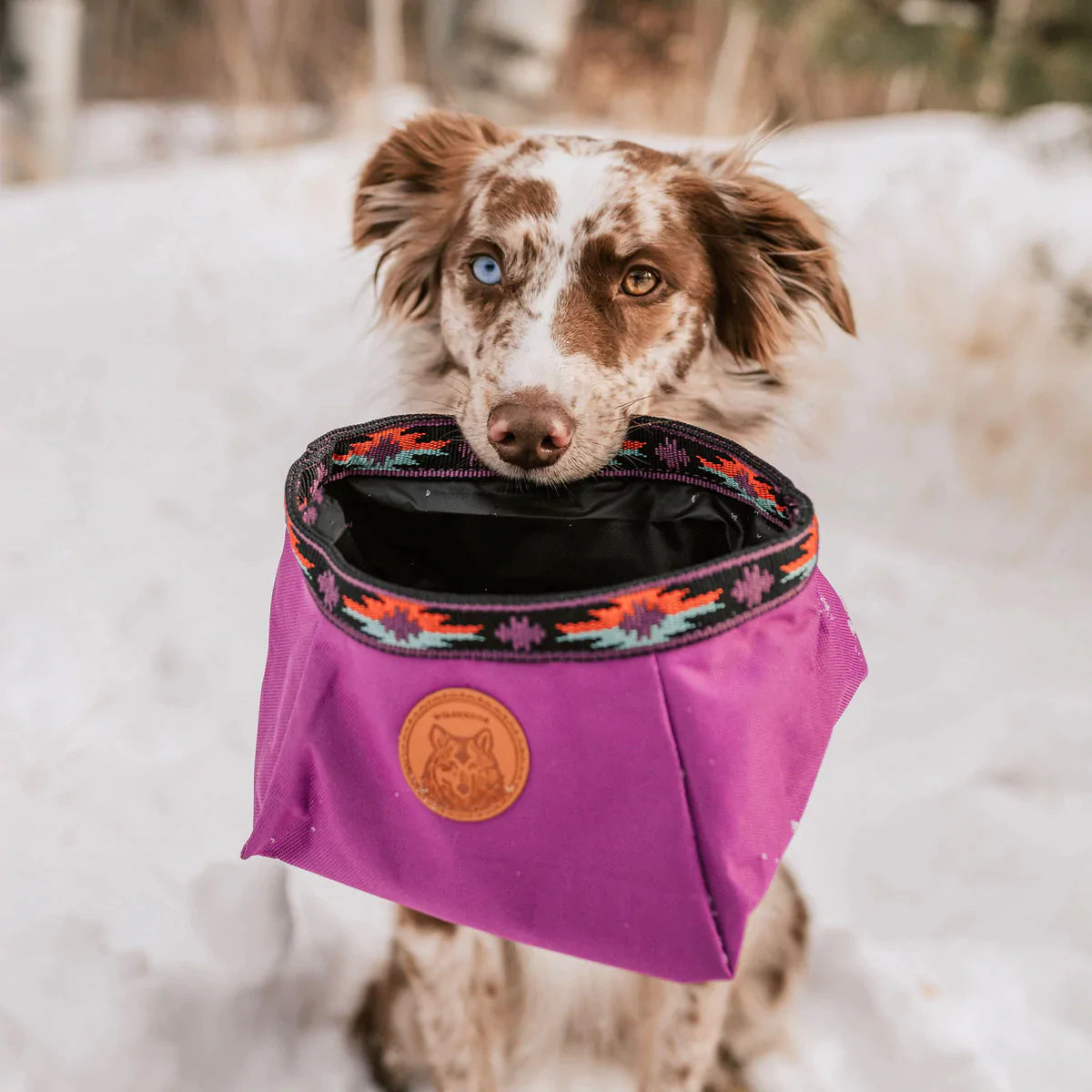 Dog Bowls | Wilderdog | Naples Outfitters