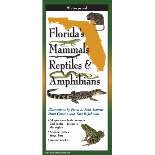 Earth Sky + Water - Florida's Mammals, Reptiles, and Amphibians