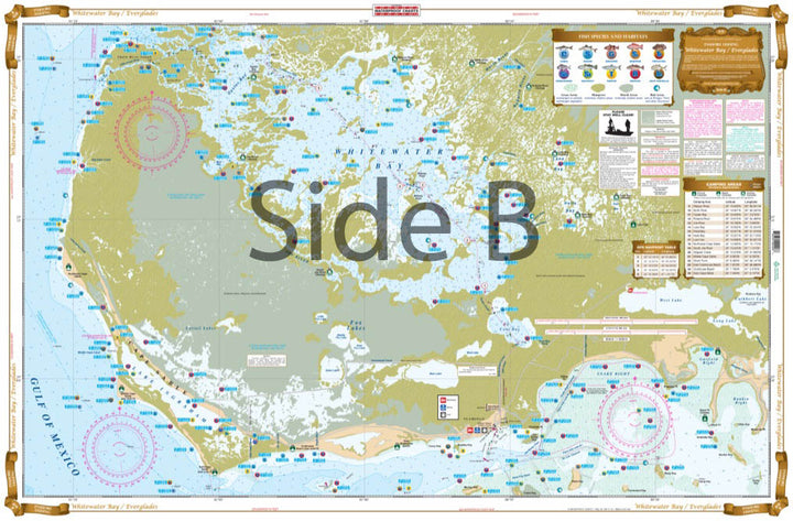 Waterproof Chart - Inshore Fishing Chart - Whitewater Bay / Everglades #40F