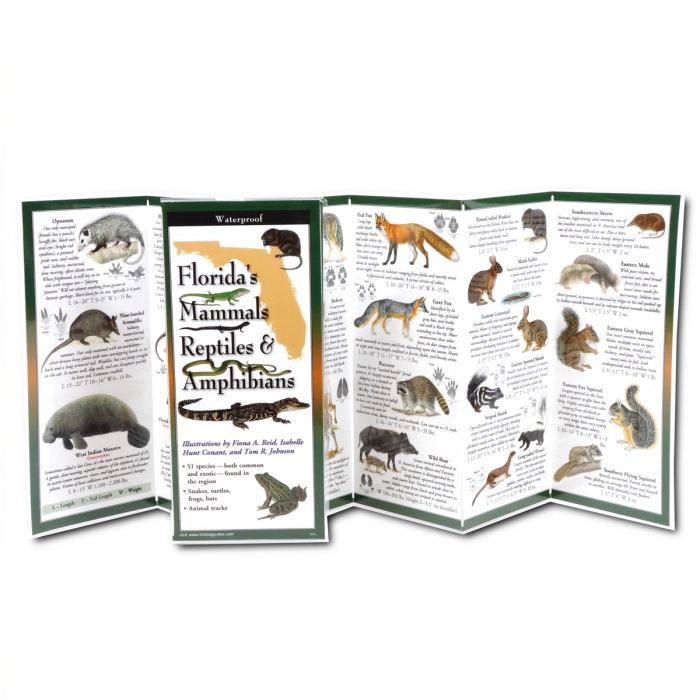 Earth Sky + Water - Florida's Mammals, Reptiles, and Amphibians
