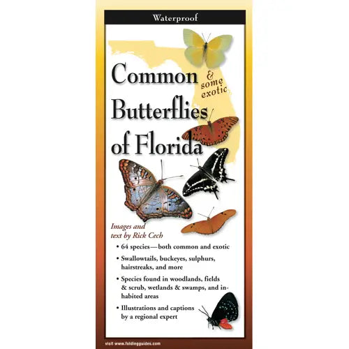 Earth Sky + Water - Common Butterflies of Florida