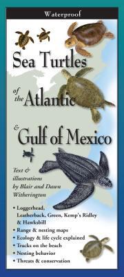 Sea Turtles of Atlantic- Trifold