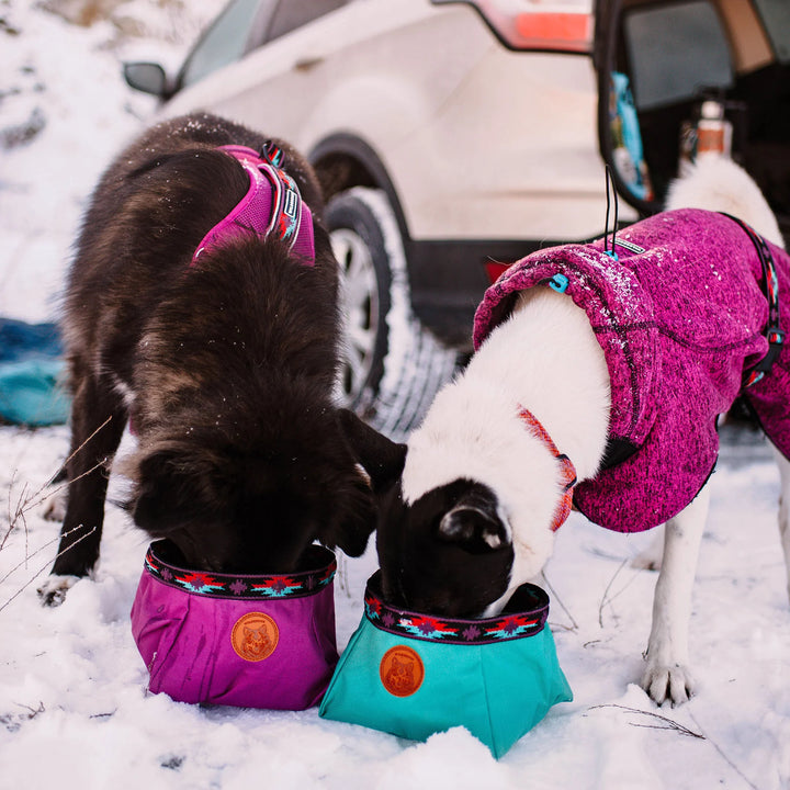 Travel Dog Bowl