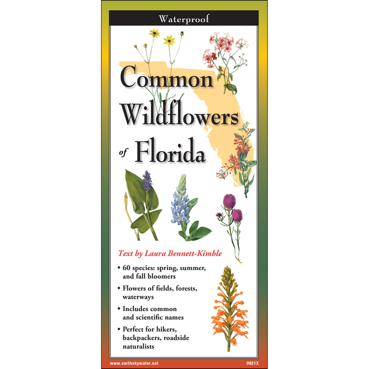 Earth Sky + Water - Common Wildflowers of Florida