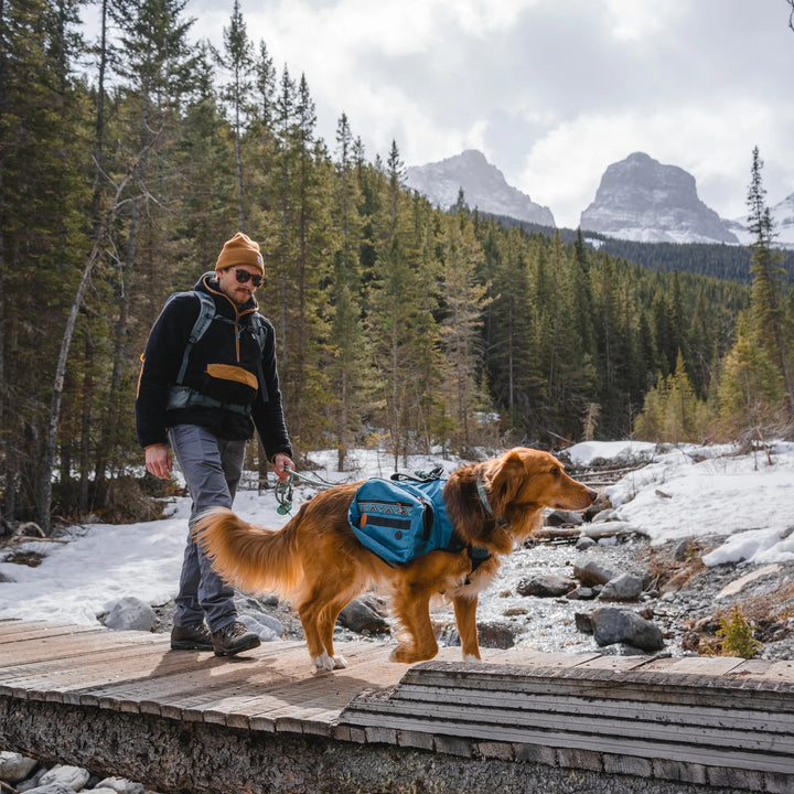 Doggy Backpack