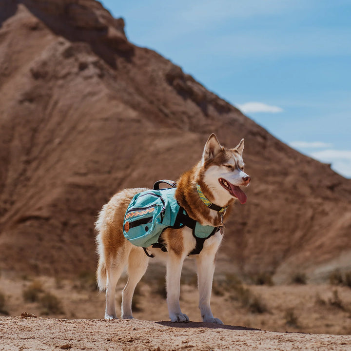 Doggy Backpack