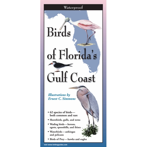 Birds of Florida's Gulf Coast - TriFold – Naples Outfitters
