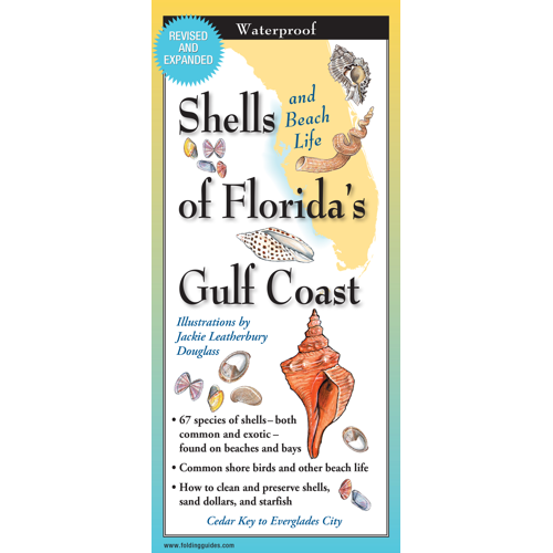 Earth Sky + Water - Shells of Florida’s Gulf Coast