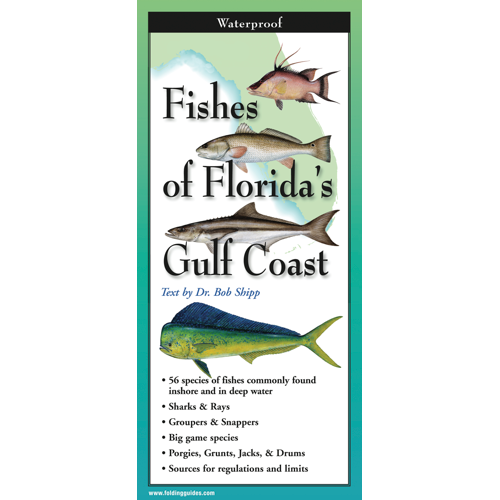 Earth Sky + Water - Fishes of the Florida’s Gulf Coast