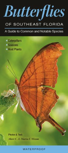 Butterflies of Southeast Florida-Trifold