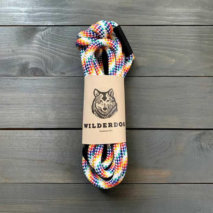 Rainbow Rope Leash