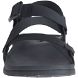 Men's Lowdown Sandal