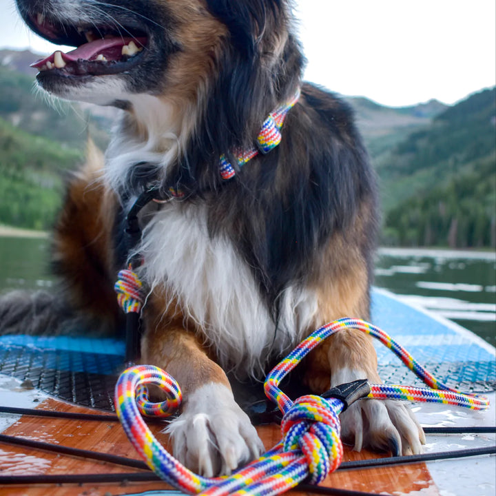Rainbow Rope Leash