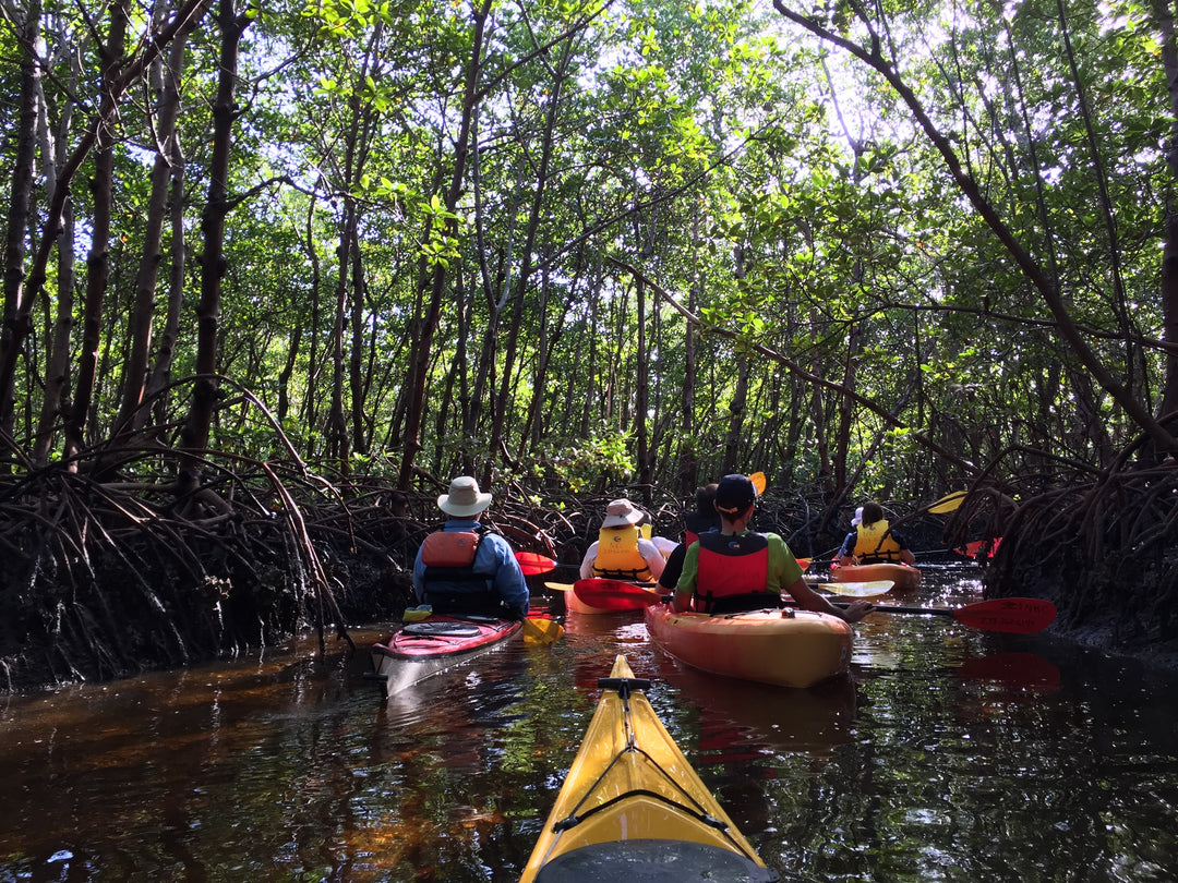 Paddling with Purpose: Supporting Local Kayak Shops for Sustainable Adventures