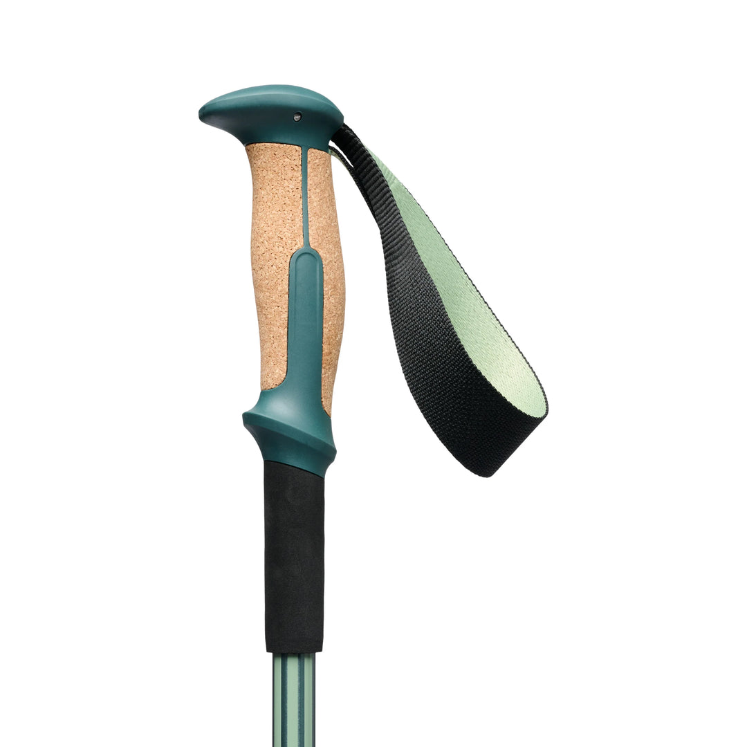 Trail Vista Shock Trekking Poles
