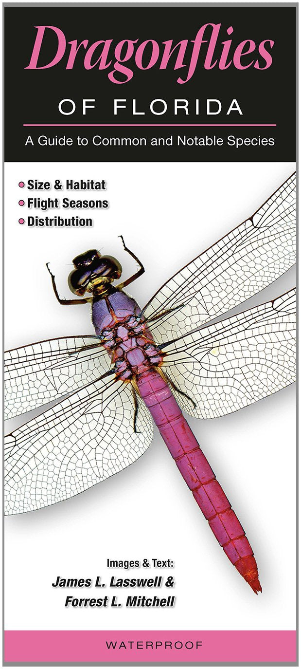 Dragonflies of Florida-Trifold