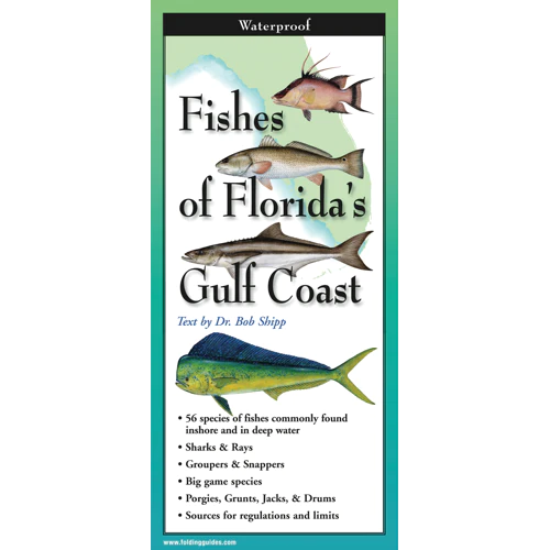 Fishes of Florida's Gulf Coast Trifold