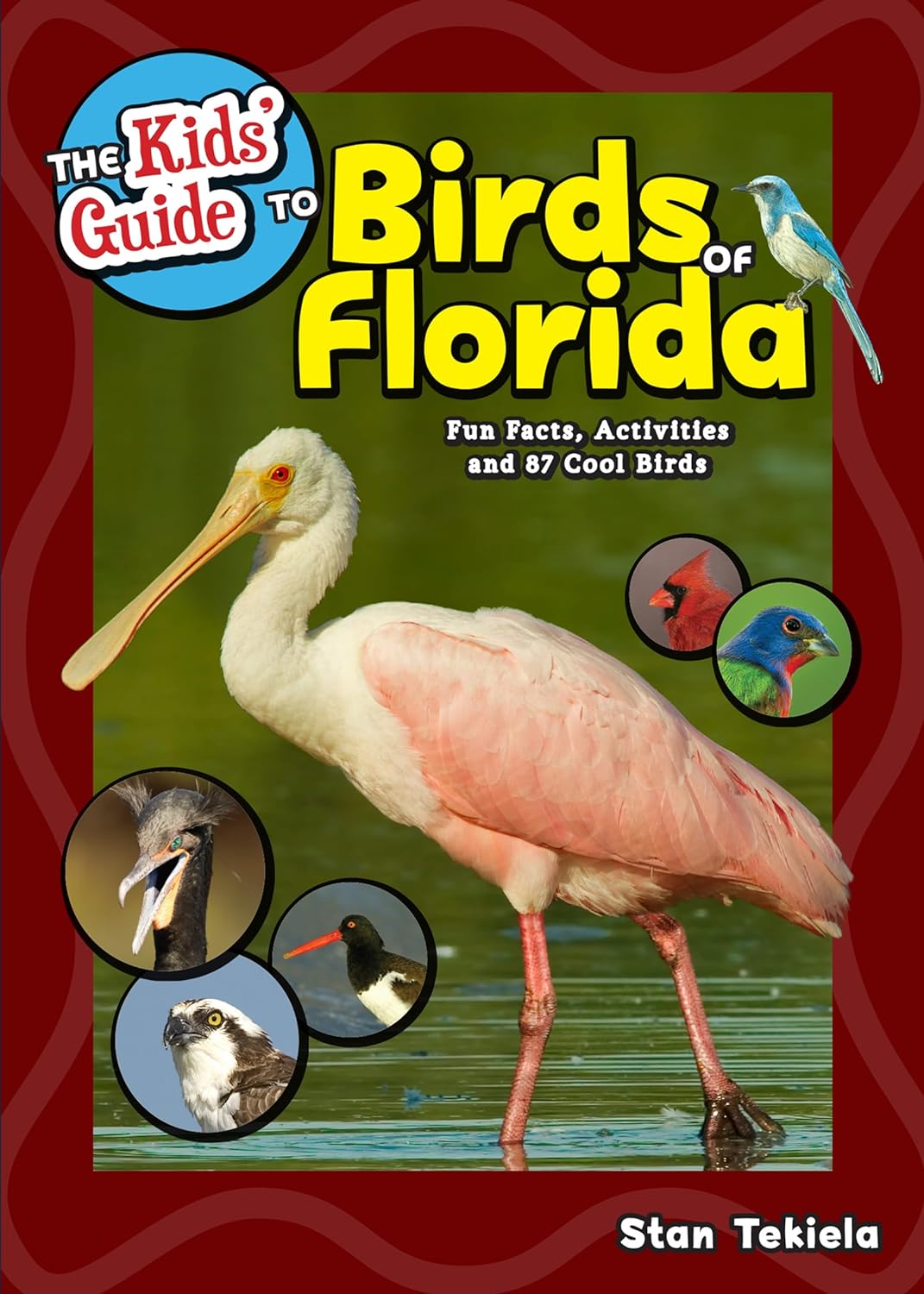 Kid's Guide to Birds of Florida