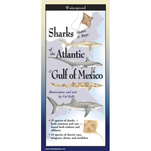 Sharks Skates Rays of the Atlantic & Gulf of Mexico - TriFold