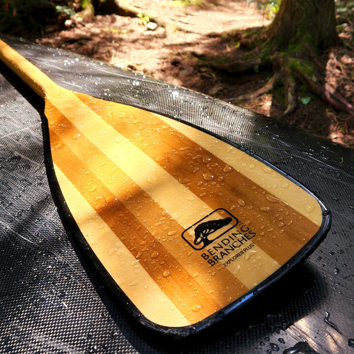 Explorer Plus