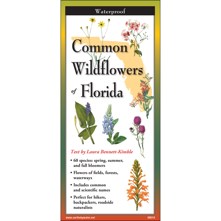 Common Wildflowers of Florida Trifold
