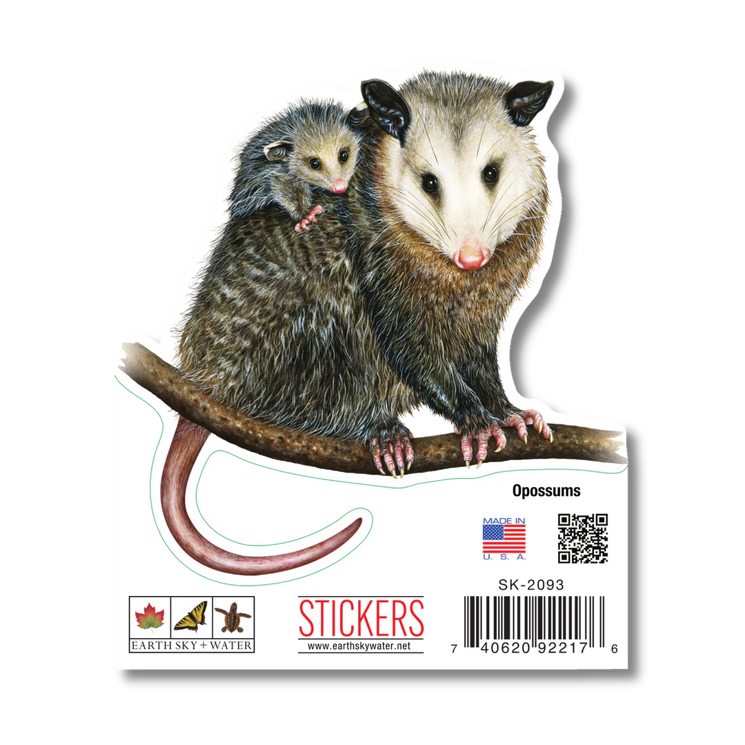 Opossums Nature Sticker, 3.5" Wide