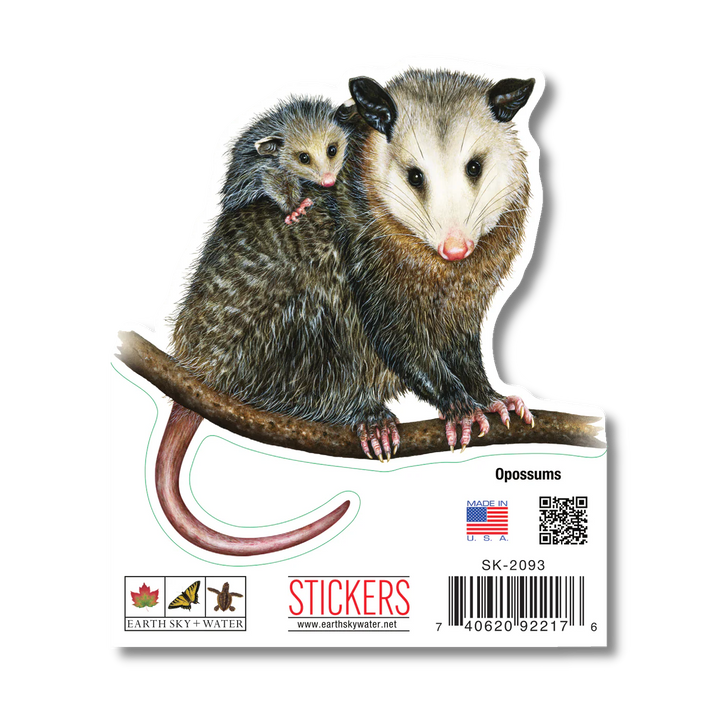 Opossums Nature Sticker, 3.5" Wide