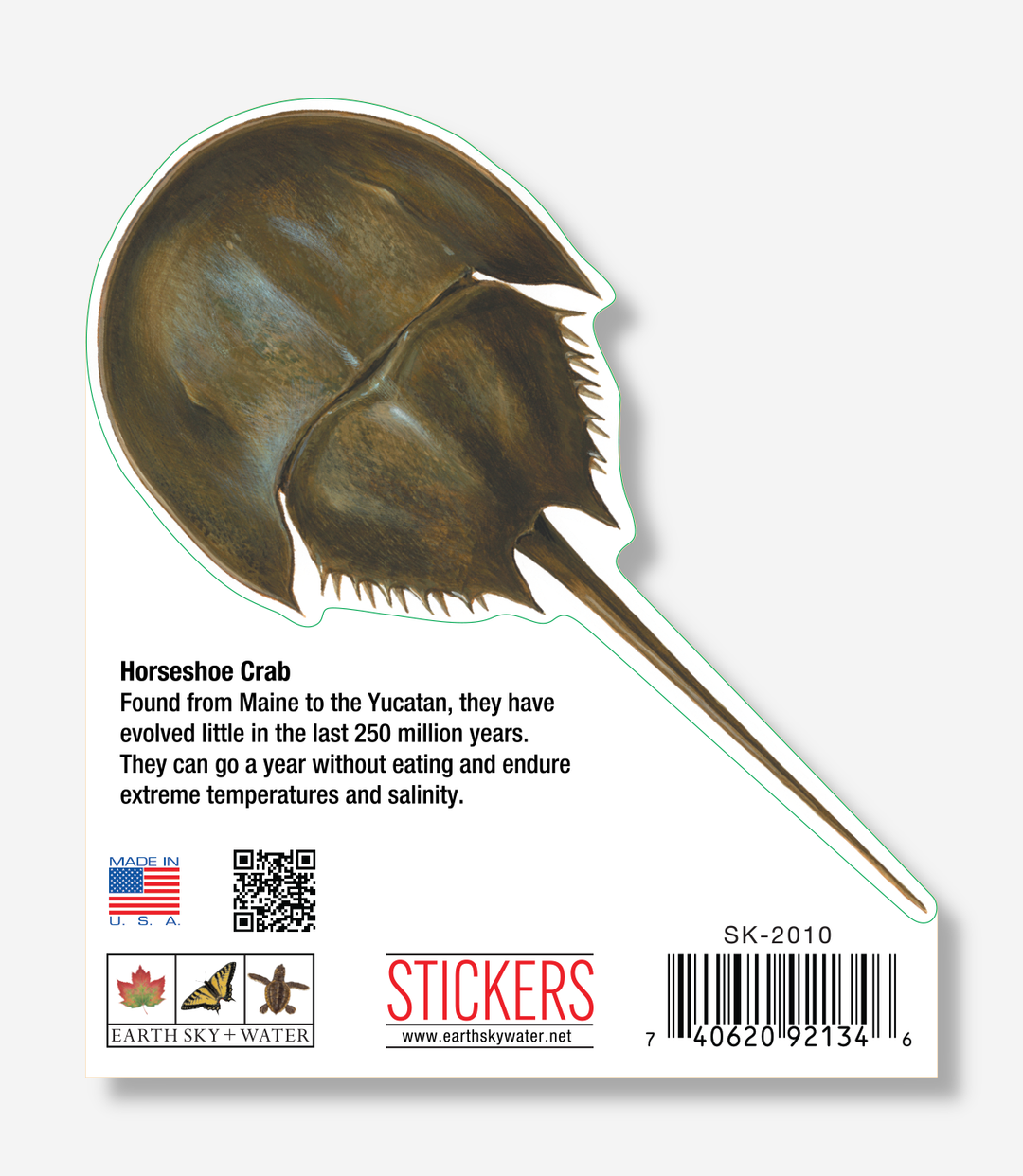 Horseshoe Crab Nature Sticker, 3.5" wide