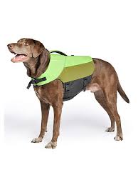 Astral PFD: BirdDog