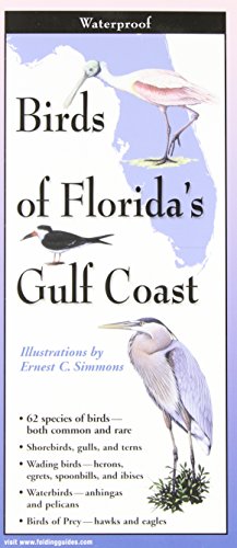 Birds Of Florida's Gulf Coast