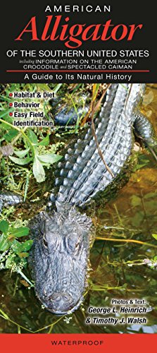 American Alligator-Trifold