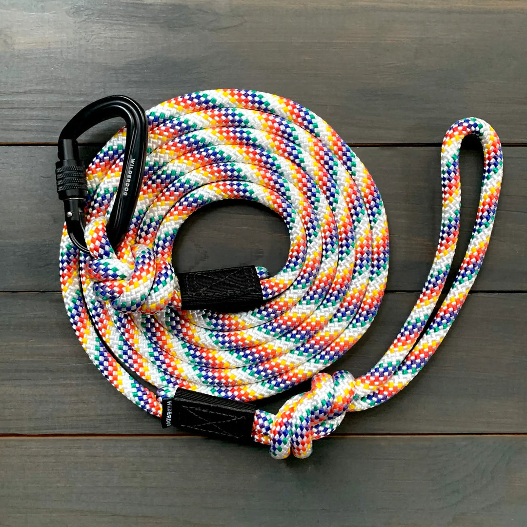 Rainbow Rope Leash