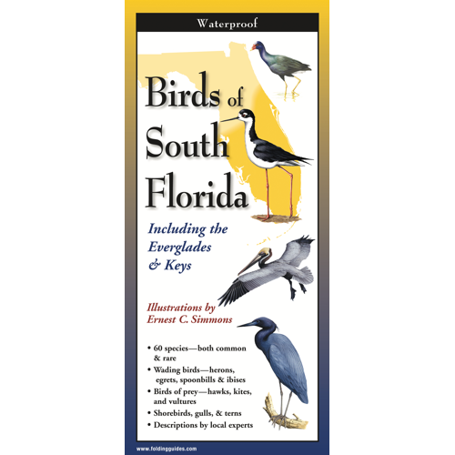 Earth Sky + Water - Birds of South Florida